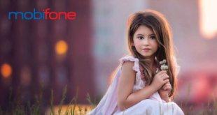 Danh sách các gói cước HD MobiFone 1 năm đang triển khai