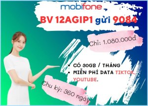 Cách đăng ký gói cước 12AGIP Mobifone online thả ga cả năm