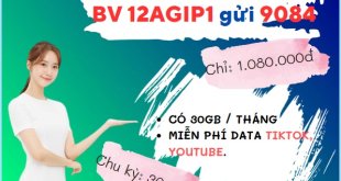 Cách đăng ký gói cước 12AGIP Mobifone online thả ga cả năm